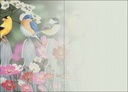 Birds and Flowers Blank Card extra