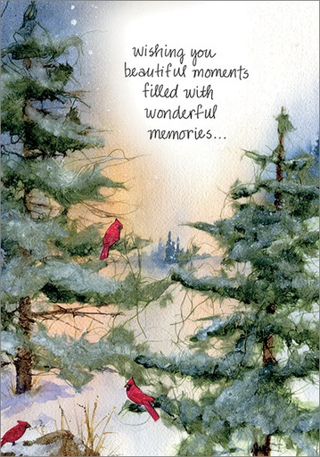 Cardinals Christmas Card, Box of Cards extra