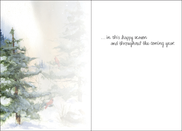 Cardinals Christmas Card, Box of Cards extra