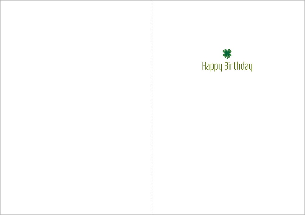 Irish Birthday Words extra