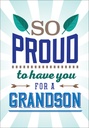 So Proud Grandson Birthday Card extra