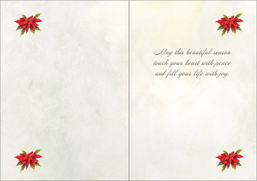 Poinsettia Christmas, Box of Cards extra