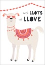 Llama Valentine's Day Card - V812 extra