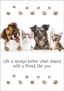 Pet Friendship Card extra