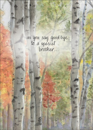 Loss of Brother Sympathy Card extra