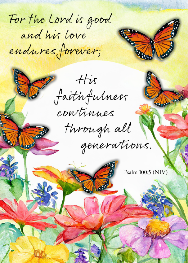 B116C may your joy multiply Birthday Card extra