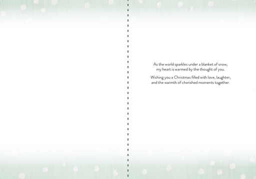C7701 - Wintry Wishes Christmas Card¬†¬† extra