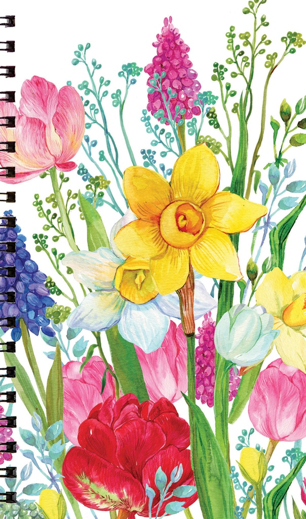 Password Organizer - PWB12 extra