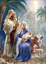 CU736 - Holy Family with animals extra