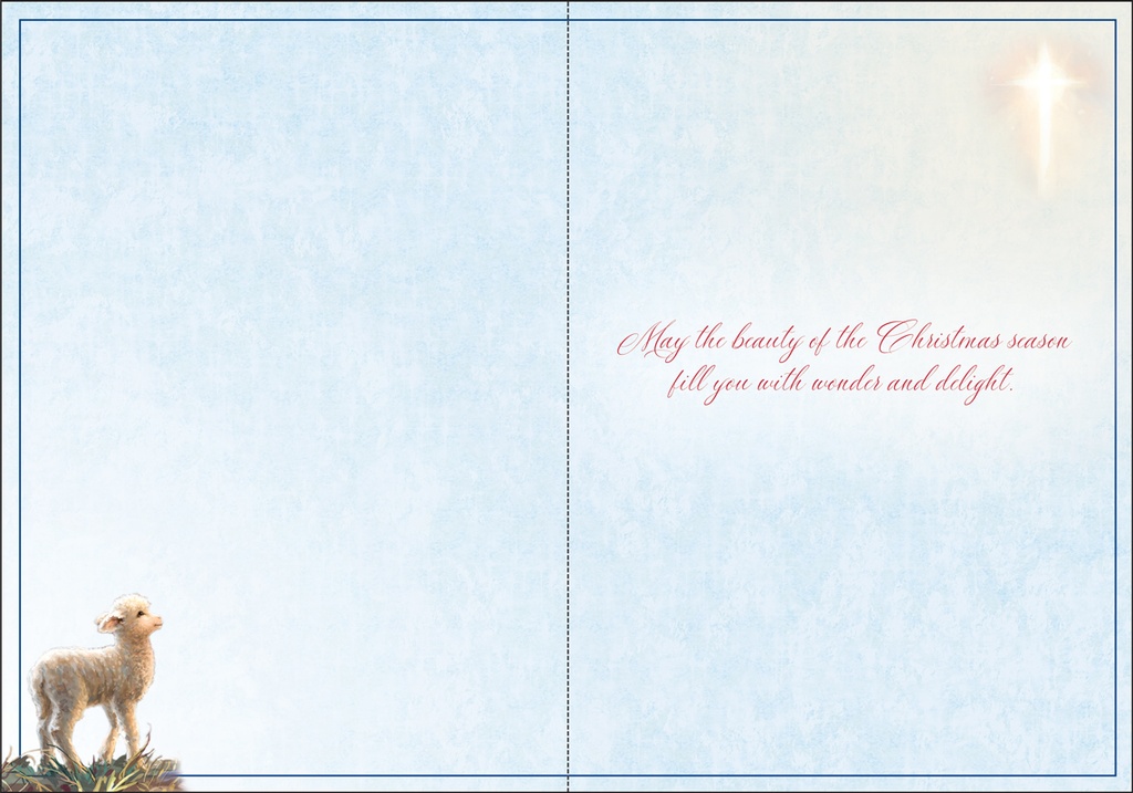 CU736 - Holy Family with animals extra