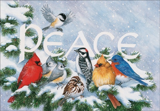 CU737 - Peace Birds extra