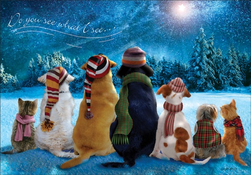 CU739 - Animals waiting extra
