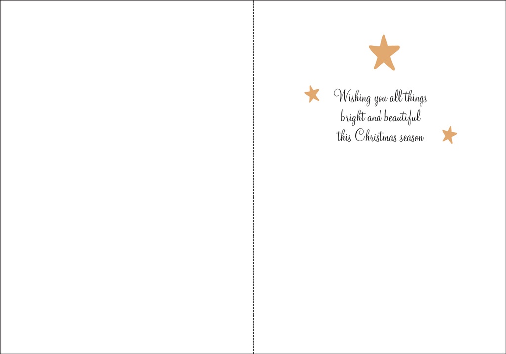 CE705 - Merry Christmas extra