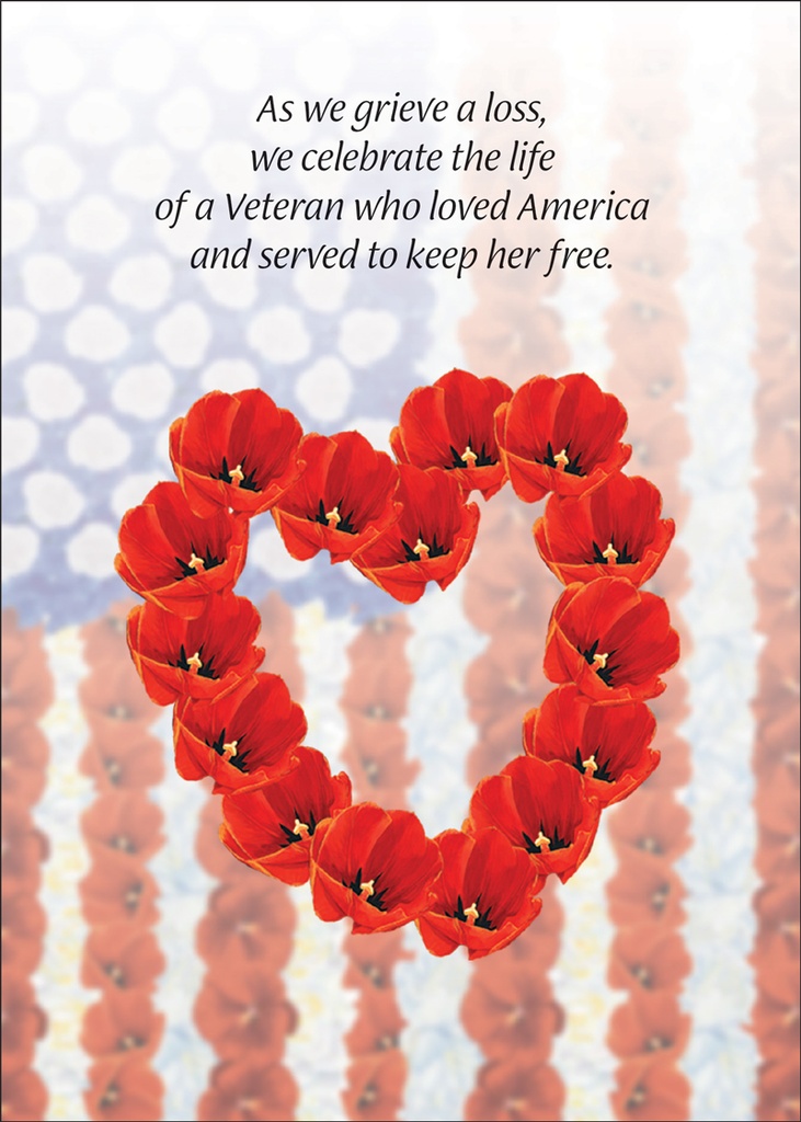 S6201 - Patriotic Sympathy extra