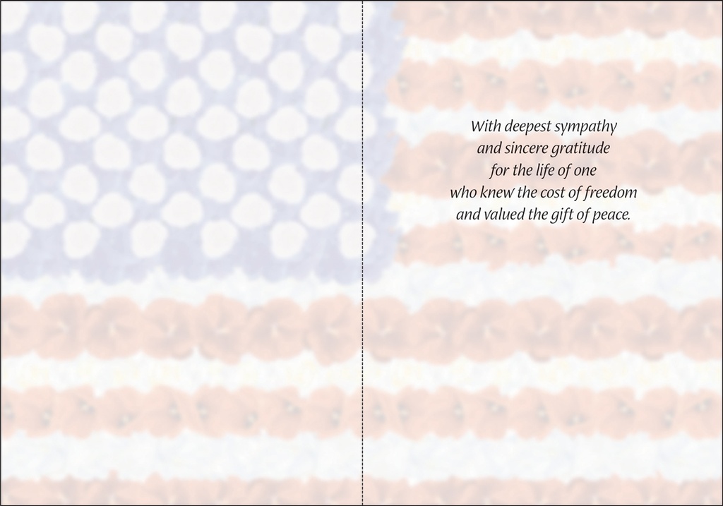 S6201 - Patriotic Sympathy extra