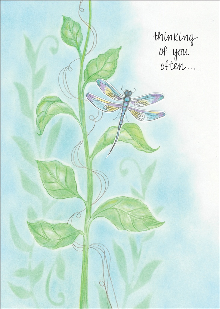 SH257 - Thinking of You encouragement card extra