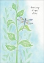 SH257 - Thinking of You encouragement card extra