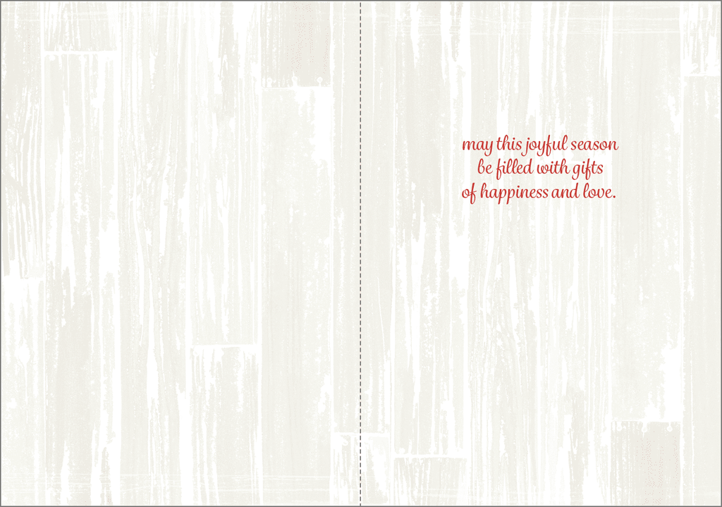 C3706- Cardinal Christmas Cards extra