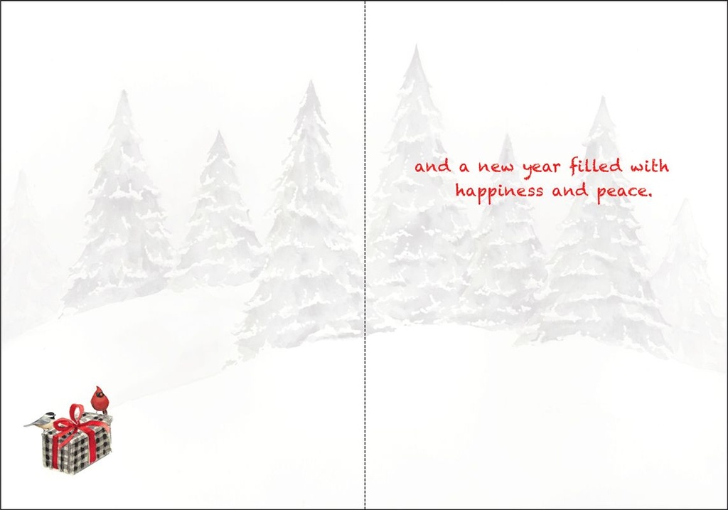 C3711V - Volunteer Christmas extra