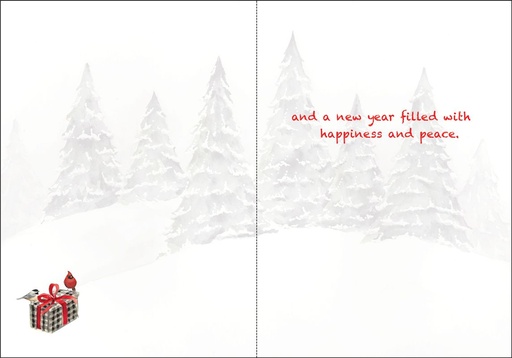 C3711V - Volunteer Christmas extra