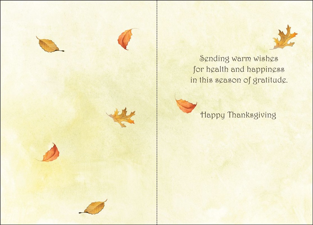 TG3880V - Volunteer Thanksgiving extra