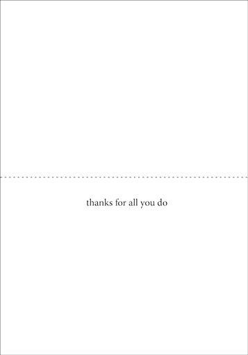 WBL15V - Star Volunteer Note Cards extra