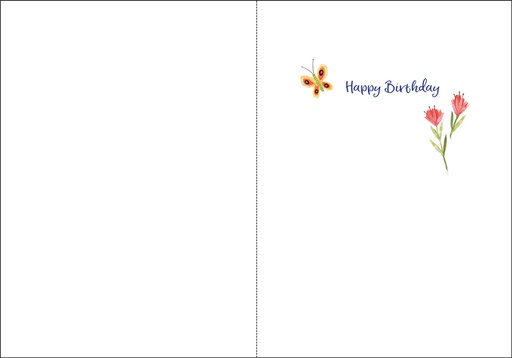 B9157 - Birthday extra