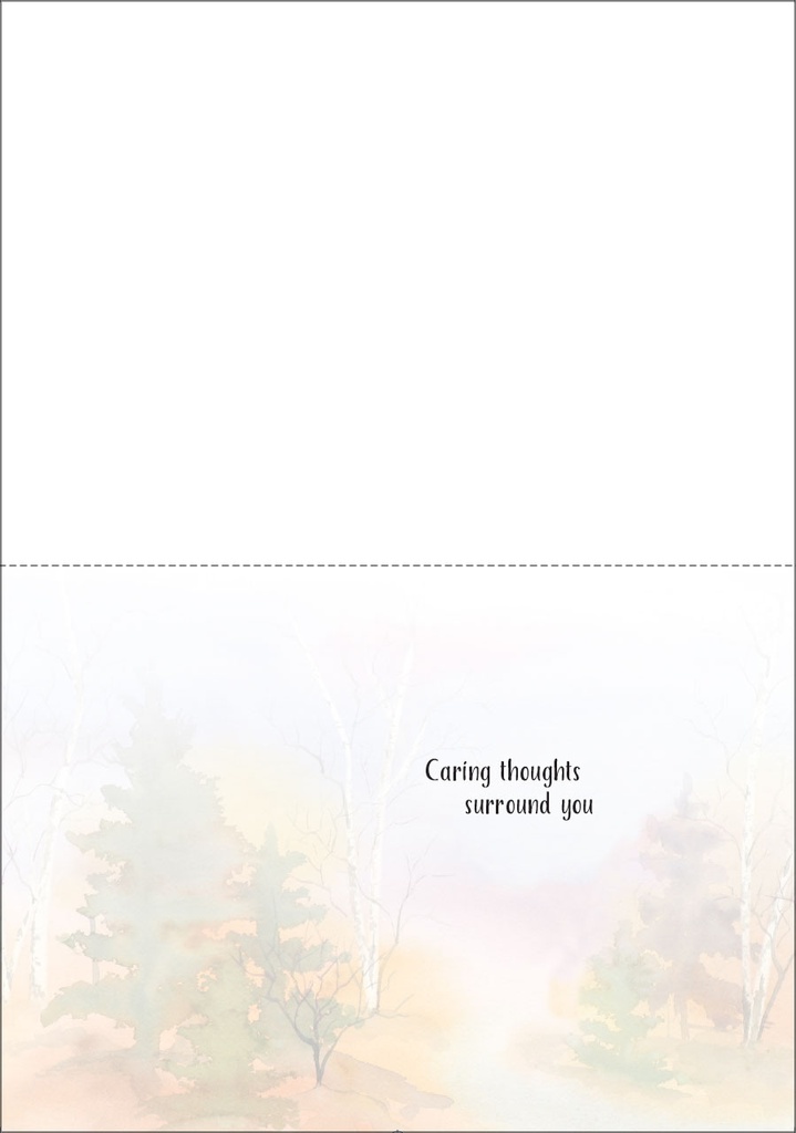 SG205 - Support Cards extra