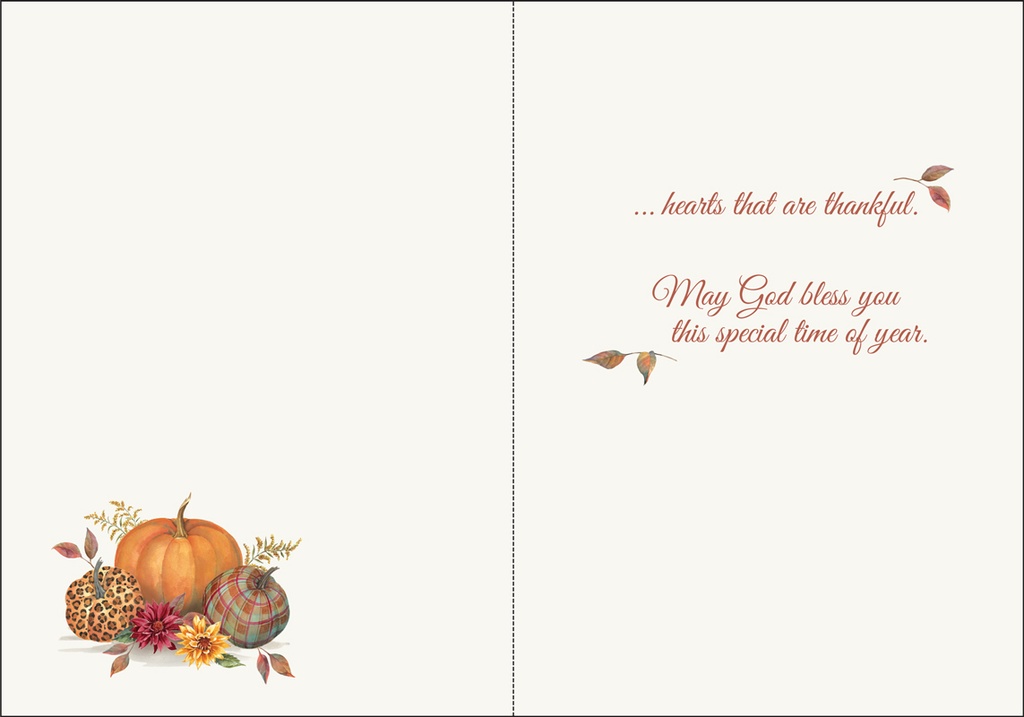 TG3882 - Thanksgiving Cards extra