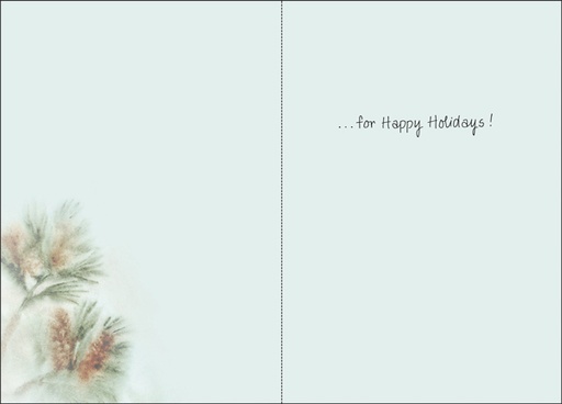 CG705 - Christmas Cards extra