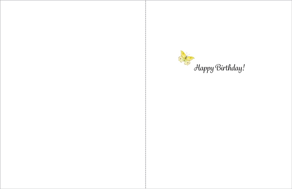 B09 - Value Birthday Cards extra