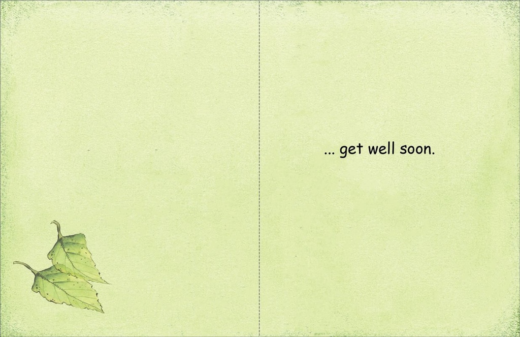 GW39 - Value Get Well Cards extra