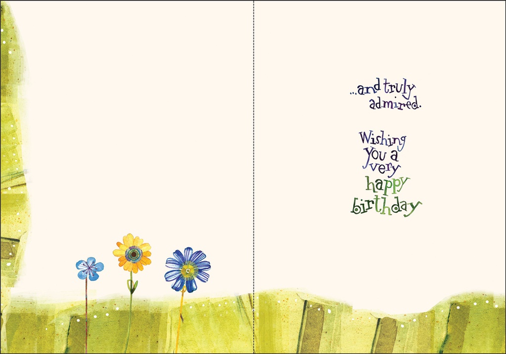 BR119 - Birthday Card With Admiration extra