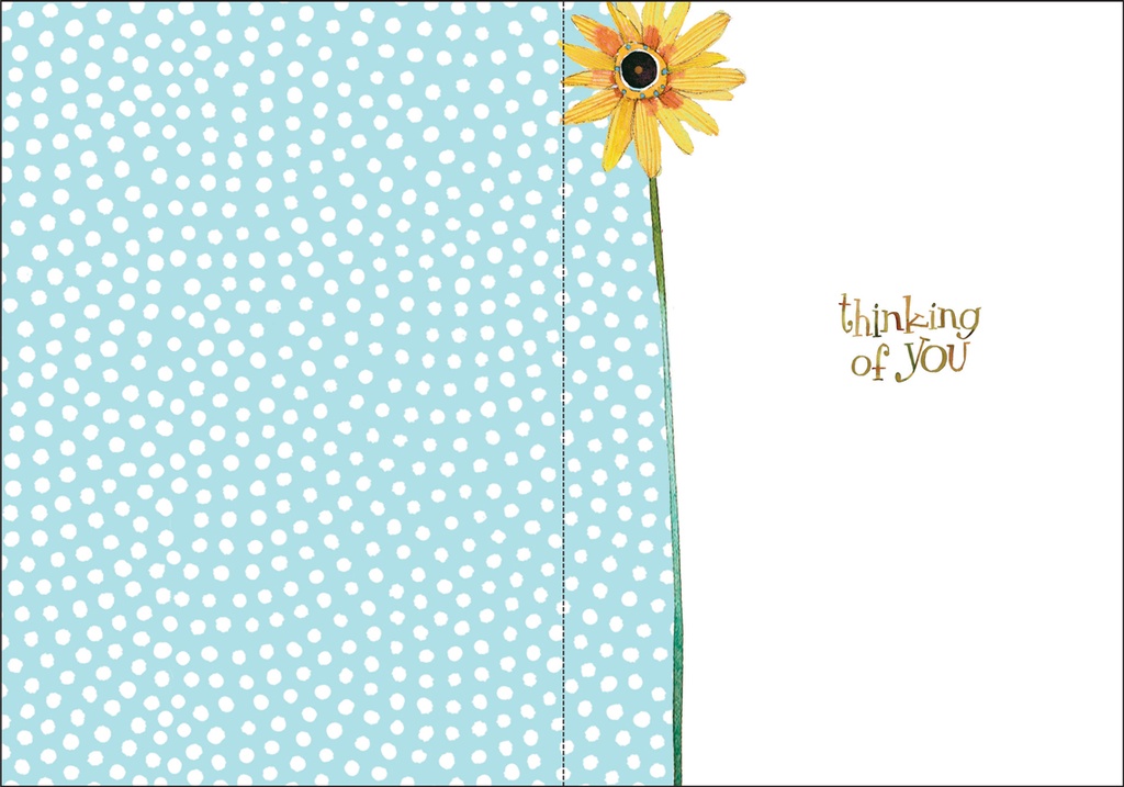 FR434 - Thinking of You extra