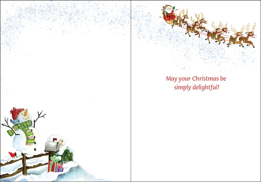 CJ716 - Christmas surprise extra