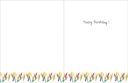 B20 - Birthday Card - Blessings extra