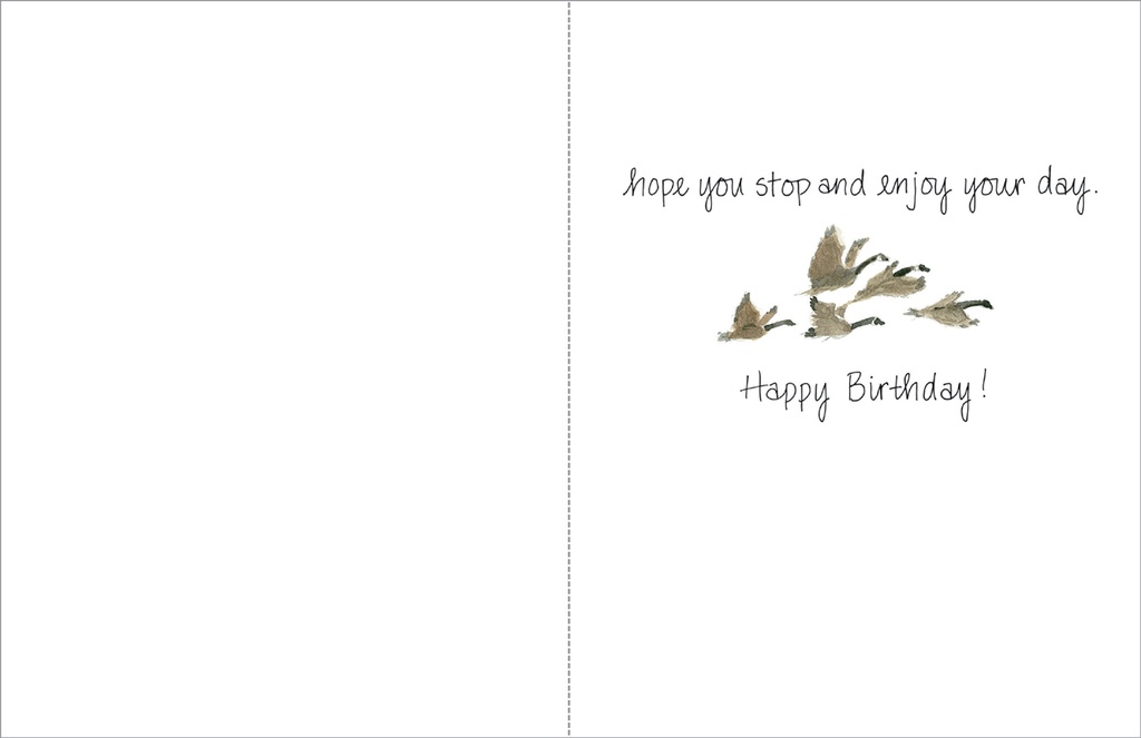 B19 - Birthday Card - Geese extra