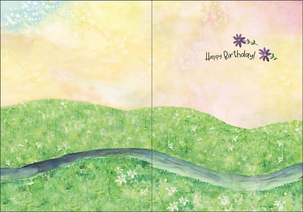 B9149 - Birthday Ride extra