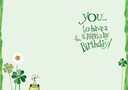 BR131 - Irish Birthday card extra