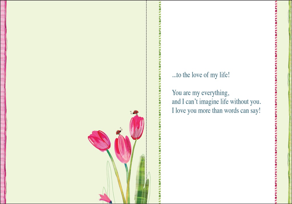 BR133 - Birthday with Love extra