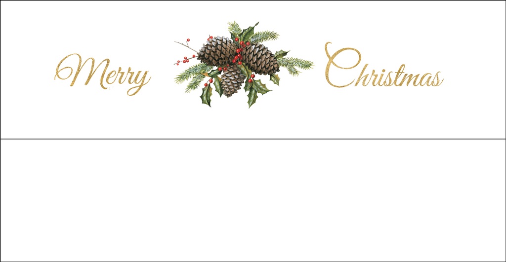 MYCH29 - Money Card extra