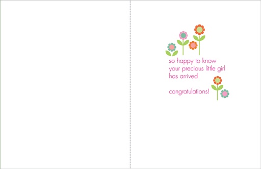 BA13 - Value Baby Girl cards extra