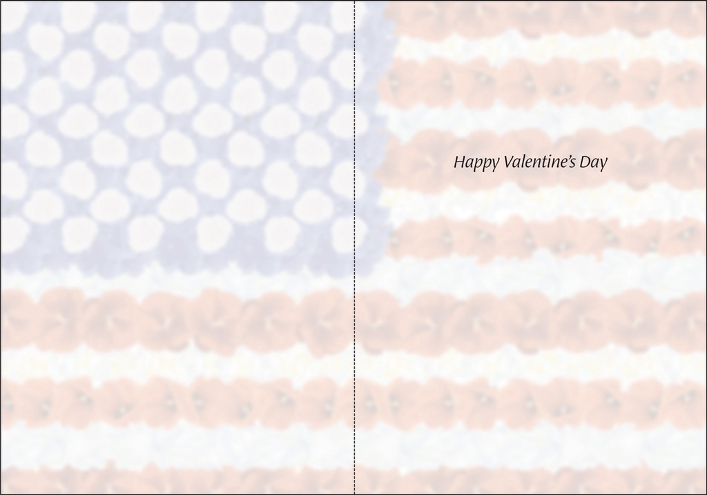 V6802 - Valentine for Veteran or Public Servant extra