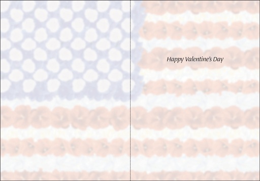 V6802 - Valentine for Veteran or Public Servant extra