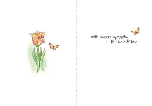 SH259 - Sympathy extra