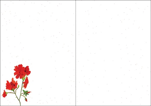FJ404 - Patriotic Blank Inside Card extra