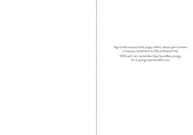 S244682 - Forever Puppy Sympathy Card