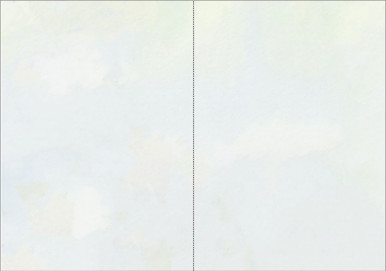 Blank Inside Cards