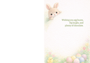 Bunny Hatch Easter Card