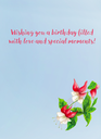 Hummingbird Birthday Card 